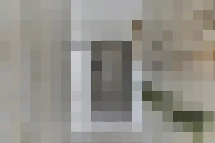 Kooiwiel 14 Bant thumbnail 19