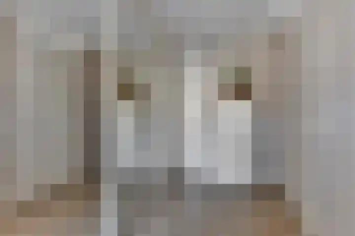 Kooiwiel 14 Bant thumbnail 30