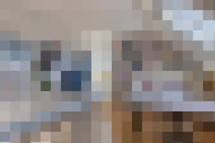 Kooiwiel 14 Bant thumbnail 33