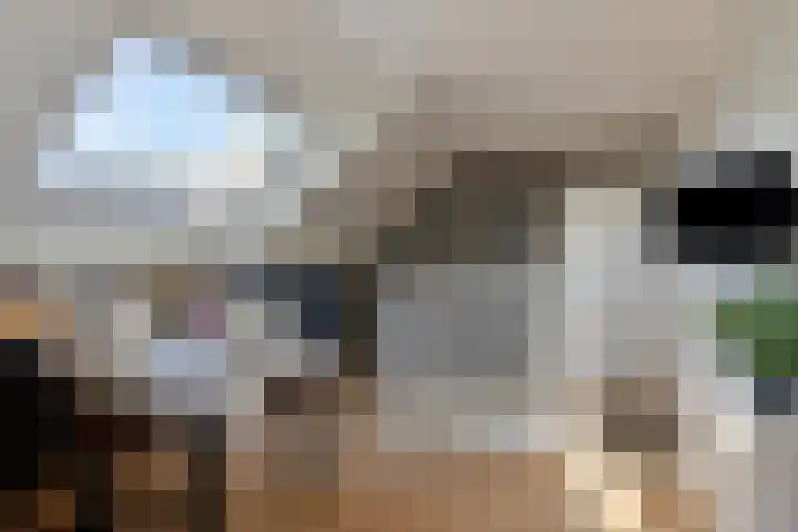 Kooiwiel 14 Bant thumbnail 34