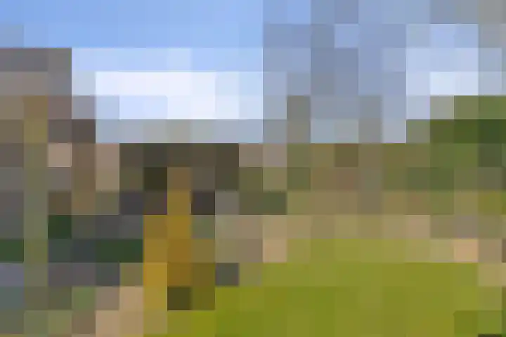 Kooiwiel 14 Bant thumbnail 38