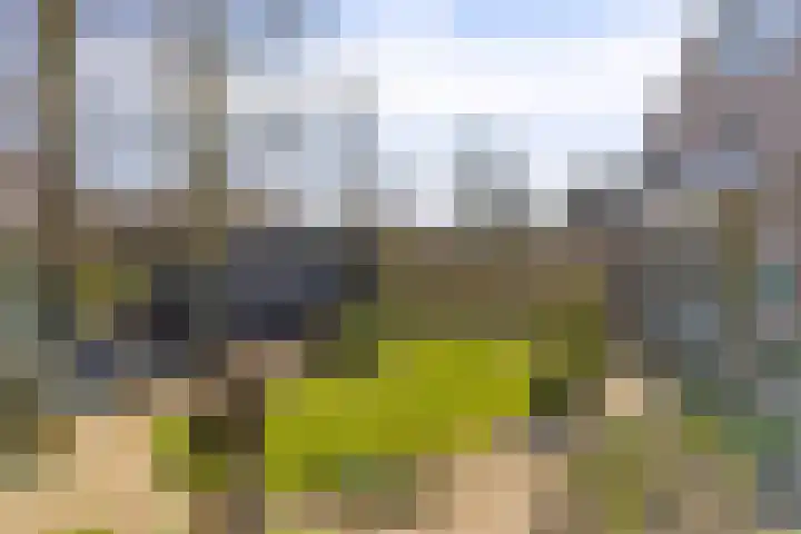 Kooiwiel 14 Bant thumbnail 39