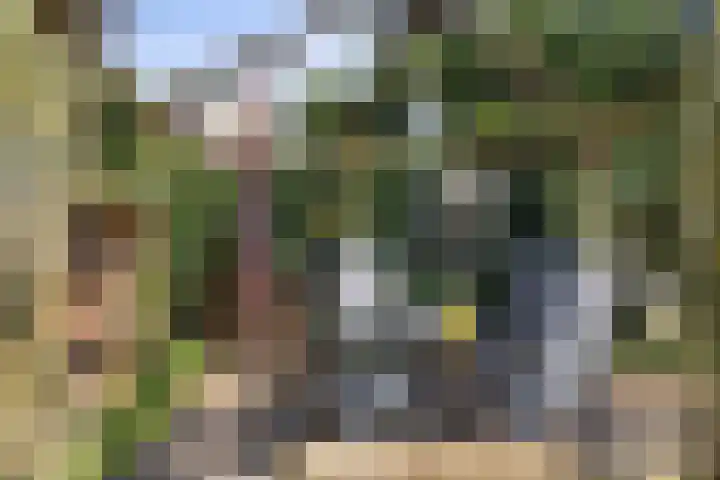 Kooiwiel 14 Bant thumbnail 42
