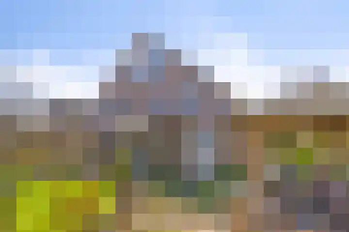 Kooiwiel 14 Bant thumbnail 44