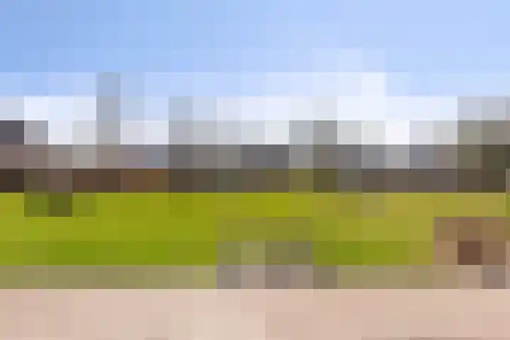 Kooiwiel 14 Bant thumbnail 45