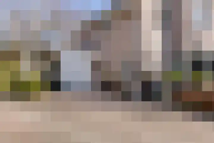 Kooiwiel 14 Bant thumbnail 5