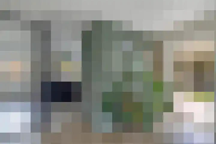 Kooiwiel 24 Bant thumbnail 10