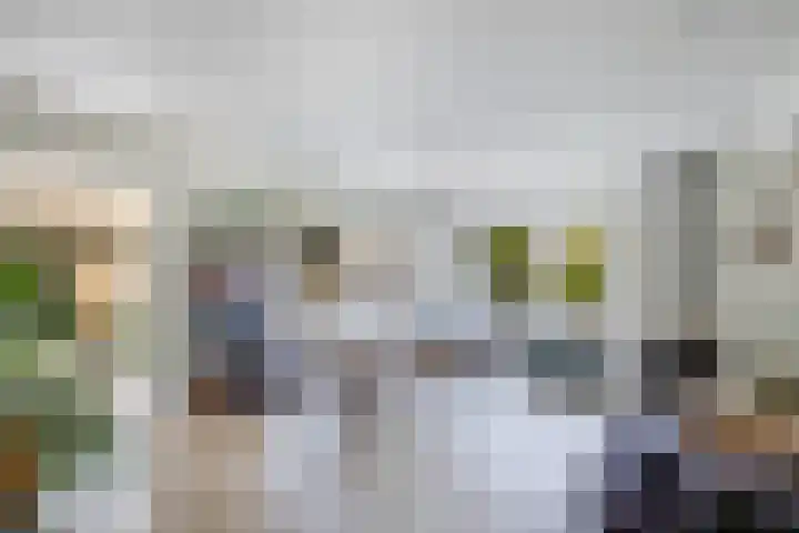 Kooiwiel 24 Bant thumbnail 12