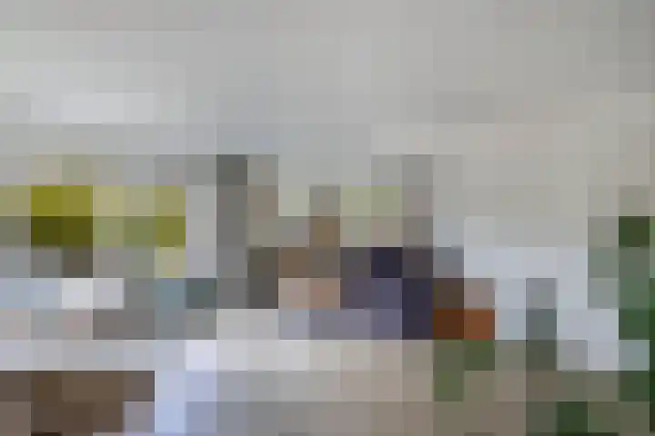 Kooiwiel 24 Bant thumbnail 13