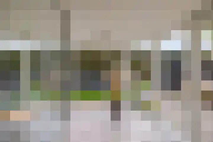 Kooiwiel 24 Bant thumbnail 14