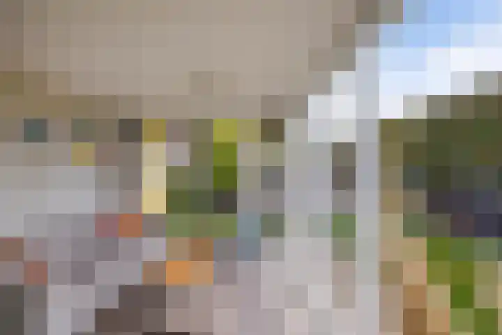 Kooiwiel 24 Bant thumbnail 15