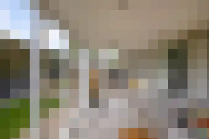 Kooiwiel 24 Bant thumbnail 16