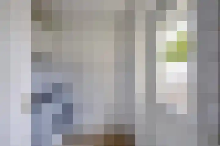 Kooiwiel 24 Bant thumbnail 20