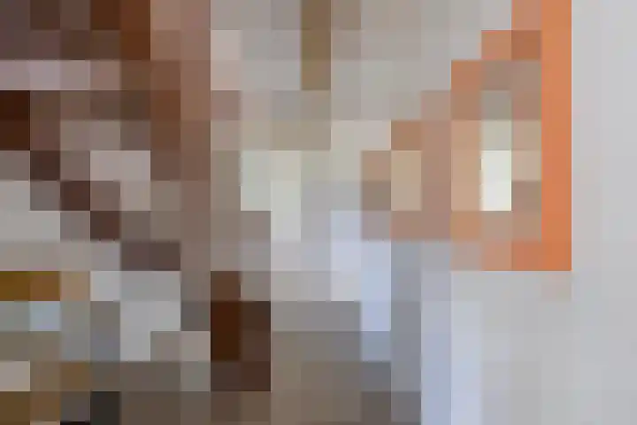 Kooiwiel 24 Bant thumbnail 23