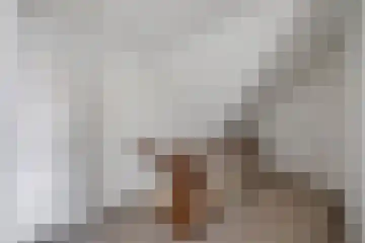 Kooiwiel 24 Bant thumbnail 24