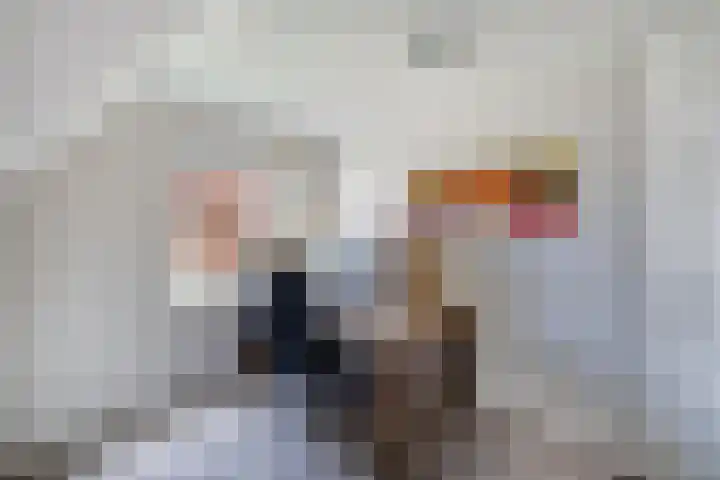 Kooiwiel 24 Bant thumbnail 27
