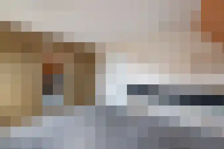 Kooiwiel 24 Bant thumbnail 30
