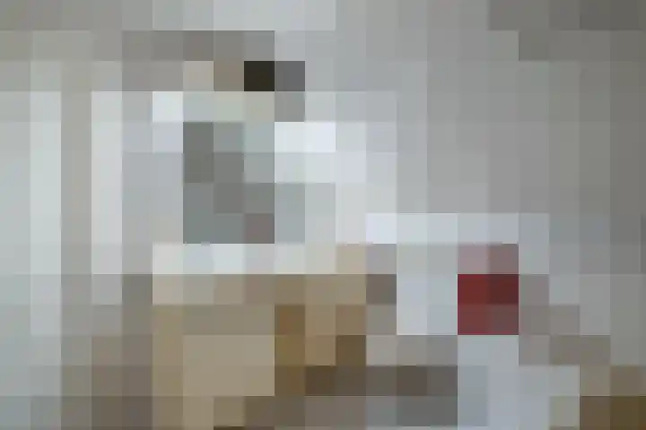 Kooiwiel 24 Bant thumbnail 33
