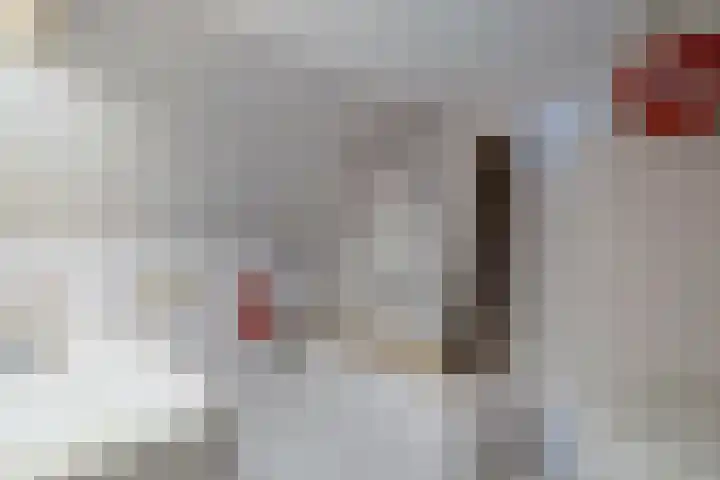Kooiwiel 24 Bant thumbnail 34