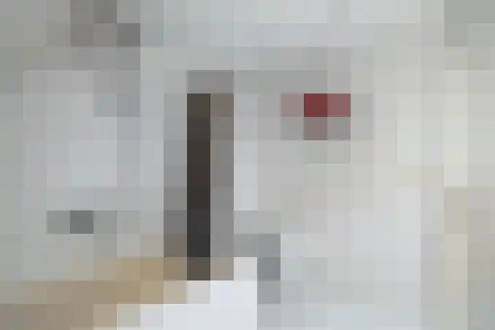 Kooiwiel 24 Bant thumbnail 35
