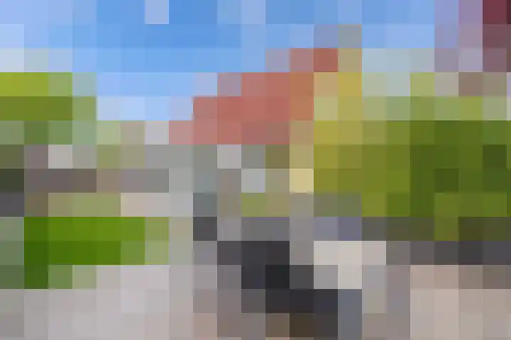Kooiwiel 24 Bant thumbnail 36