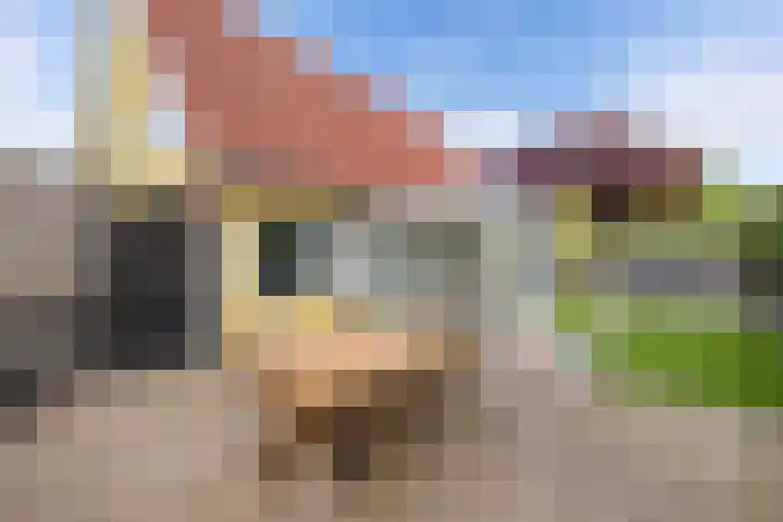 Kooiwiel 24 Bant thumbnail 37