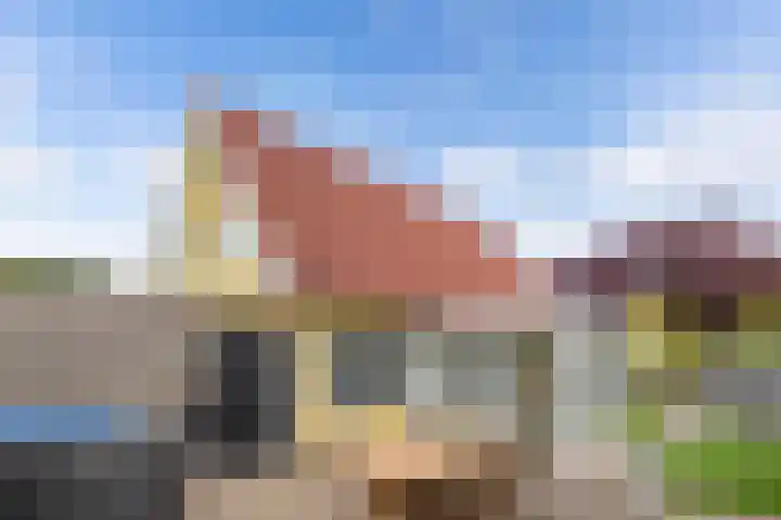Kooiwiel 24 Bant thumbnail 38