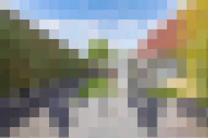 Kooiwiel 24 Bant thumbnail 39