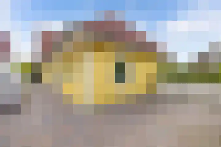 Kooiwiel 24 Bant thumbnail 44