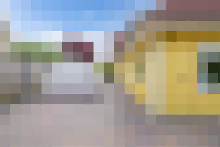 Kooiwiel 24 Bant thumbnail 45