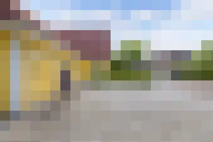Kooiwiel 24 Bant thumbnail 46
