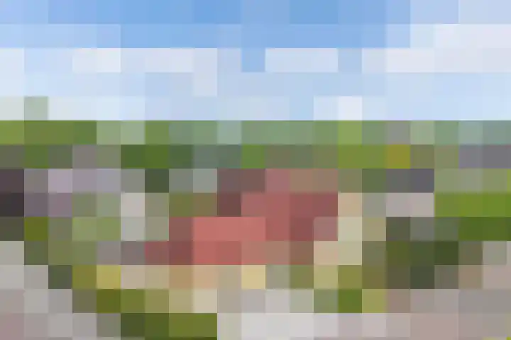 Kooiwiel 24 Bant thumbnail 47