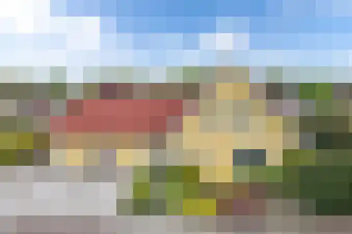 Kooiwiel 24 Bant thumbnail 48