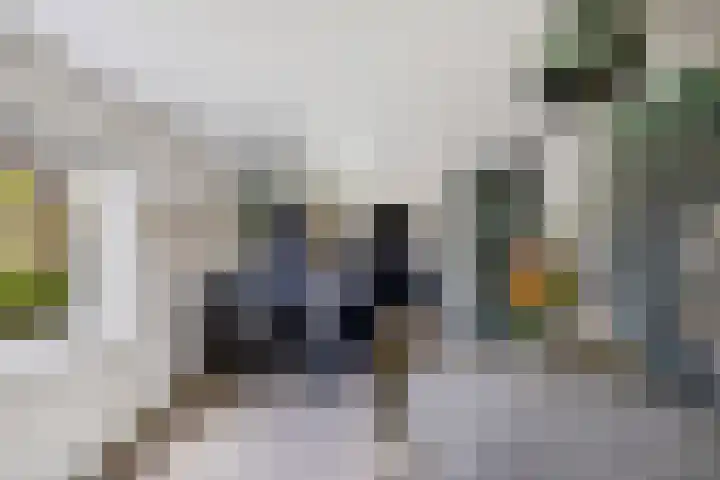 Kooiwiel 24 Bant thumbnail 5
