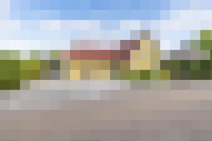 Kooiwiel 24 Bant thumbnail 50