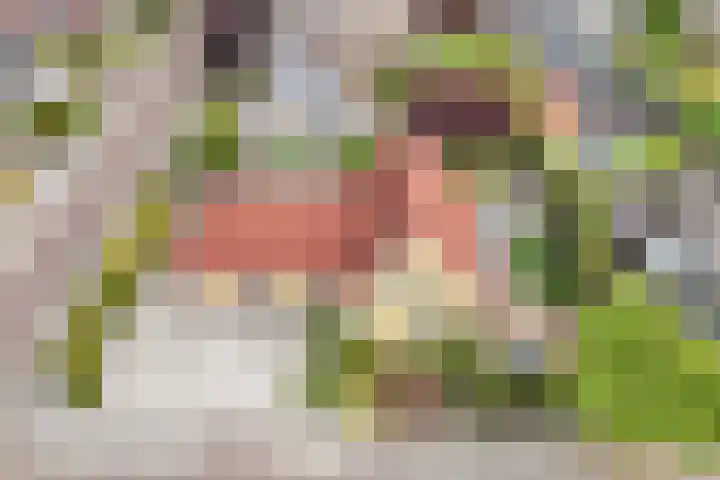 Kooiwiel 24 Bant thumbnail 51