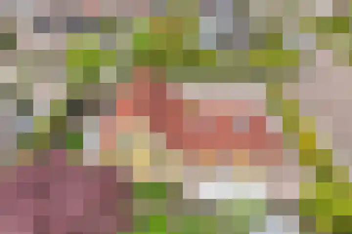 Kooiwiel 24 Bant thumbnail 53