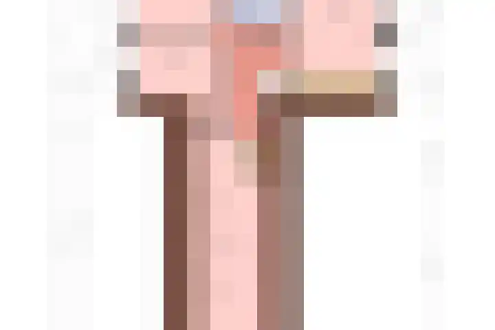 Kooiwiel 24 Bant thumbnail 56