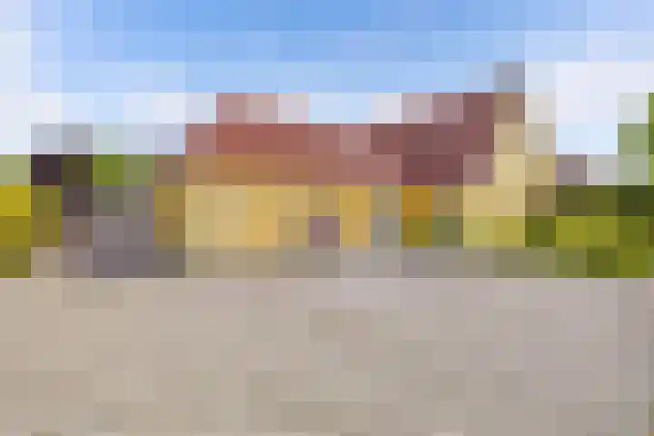 Kooiwiel 24 Bant thumbnail 58