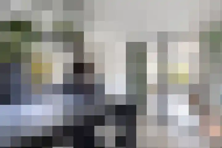 Kooiwiel 24 Bant thumbnail 6