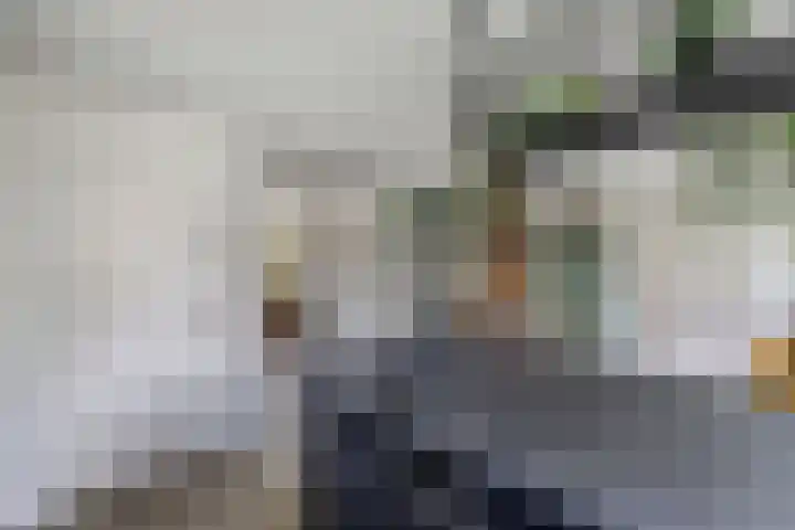 Kooiwiel 24 Bant thumbnail 9