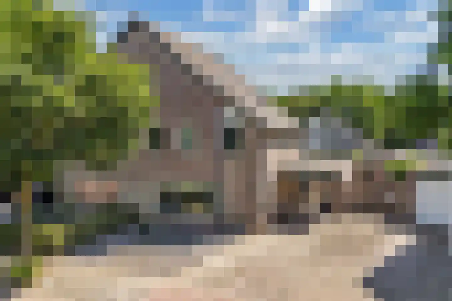 Kooiwiel 8 Bant thumbnail 11