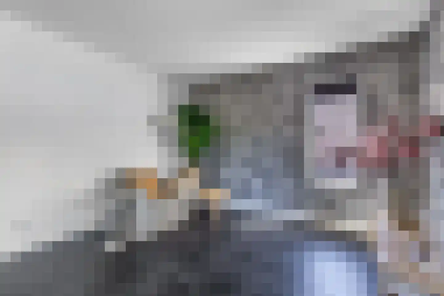 Kooiwiel 8 Bant thumbnail 14