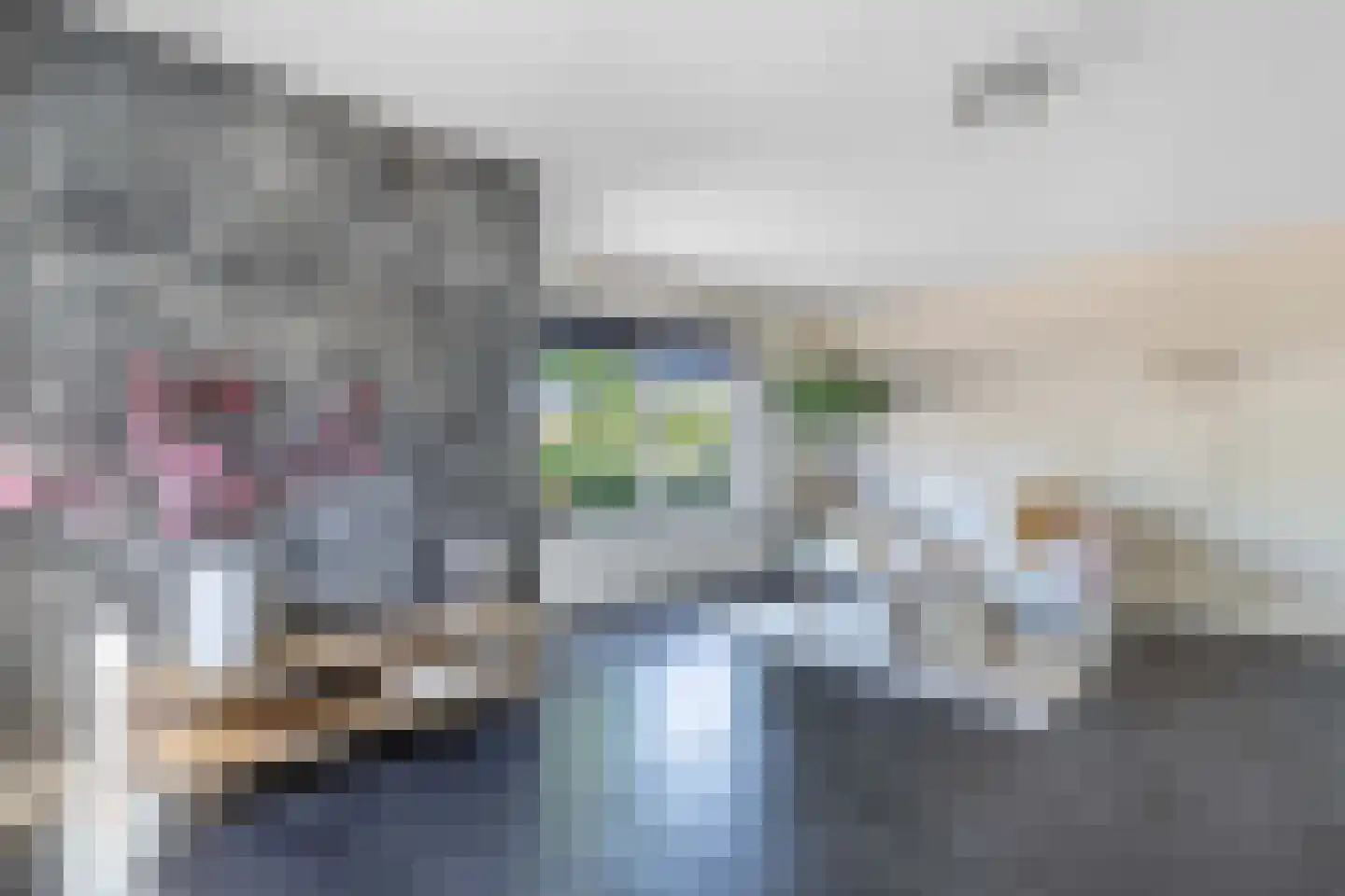Kooiwiel 8 Bant thumbnail 15