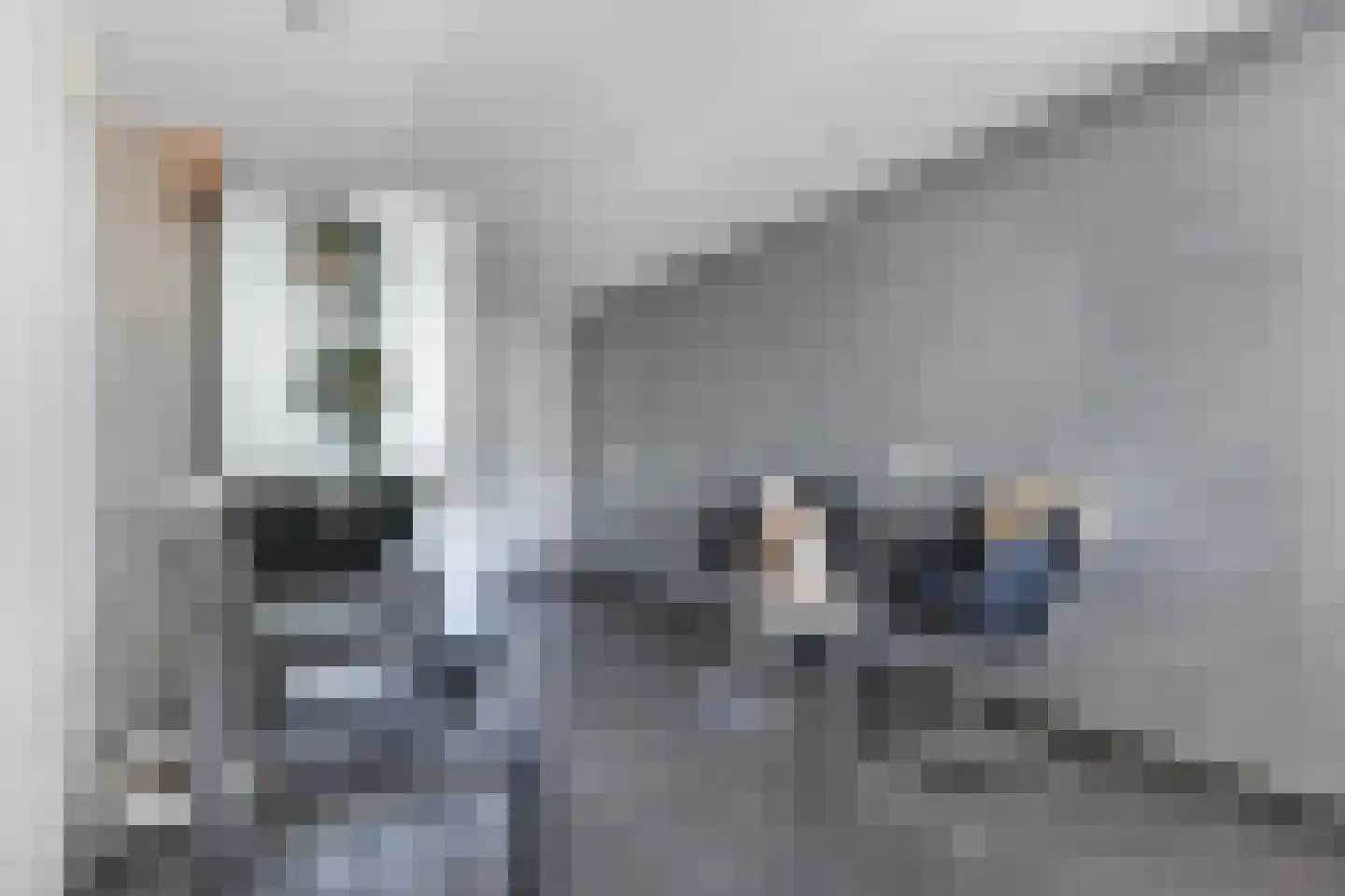 Kooiwiel 8 Bant thumbnail 26