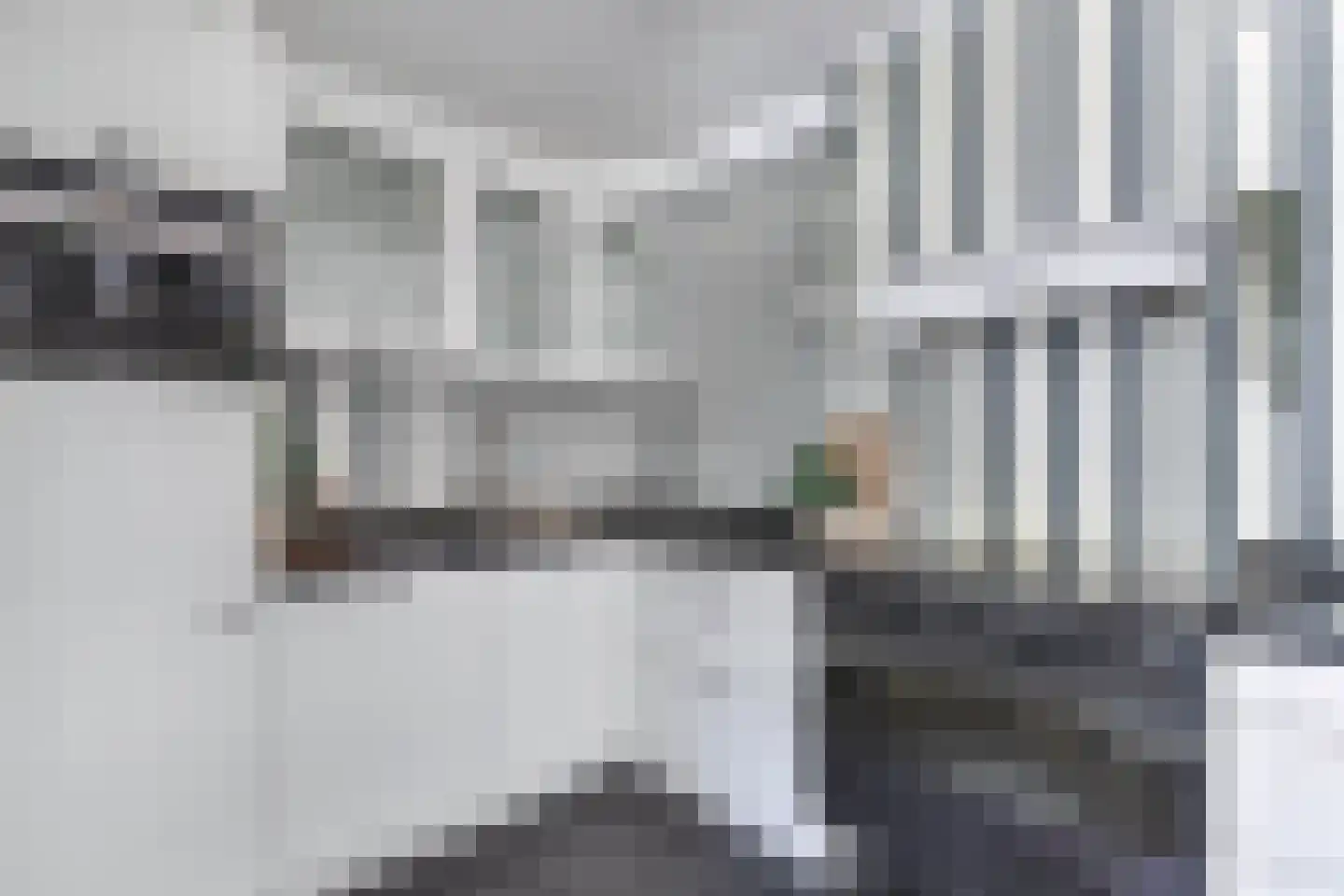 Kooiwiel 8 Bant thumbnail 29