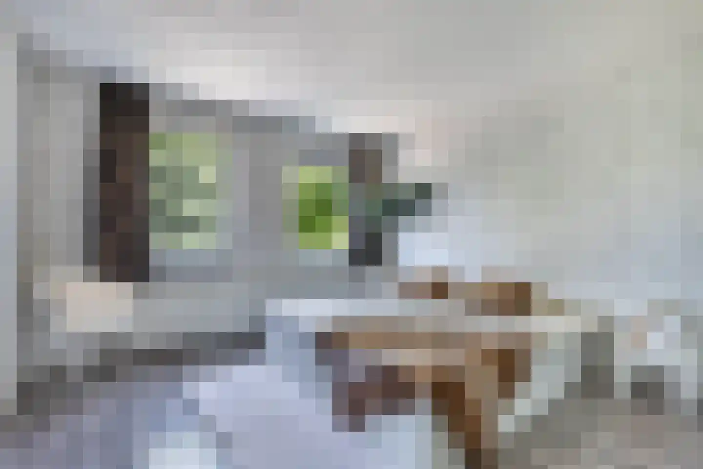 Kooiwiel 8 Bant thumbnail 30