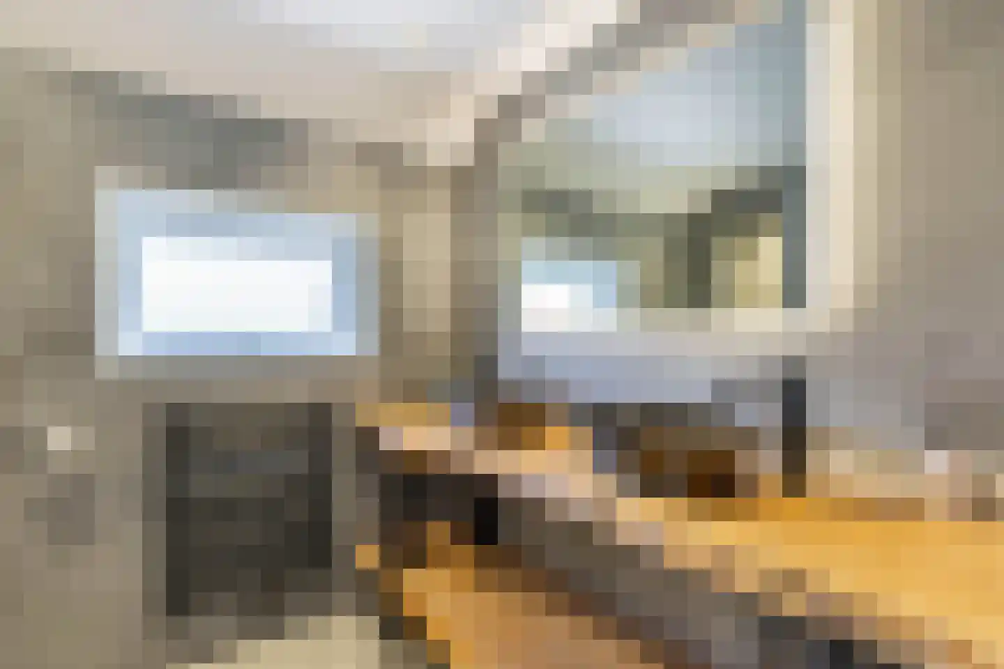 Kooiwiel 8 Bant thumbnail 36