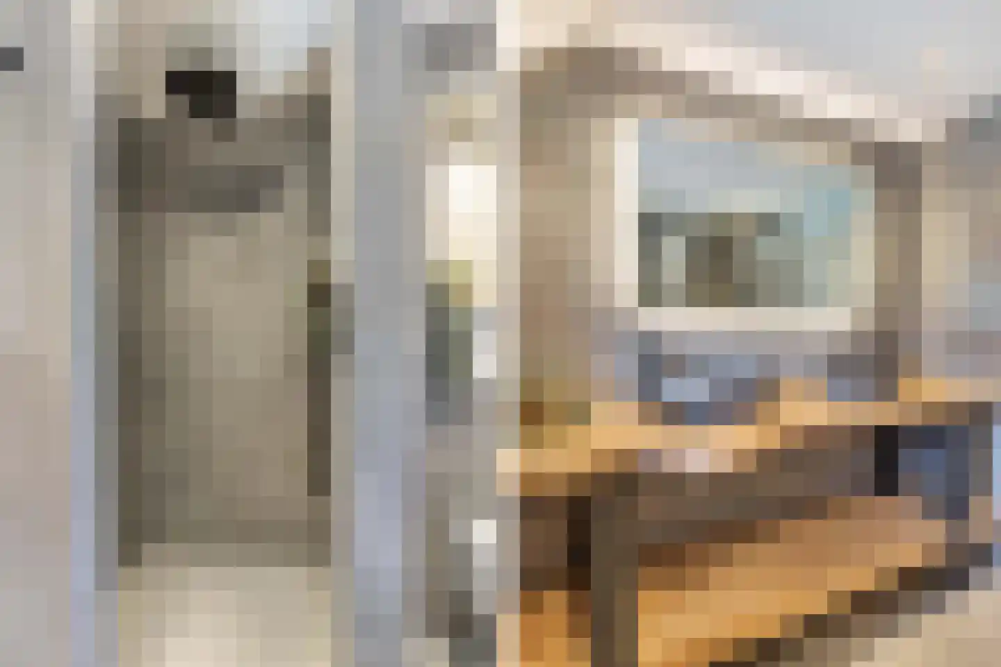 Kooiwiel 8 Bant thumbnail 38