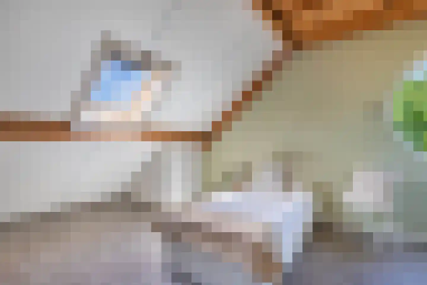 Kooiwiel 8 Bant thumbnail 40